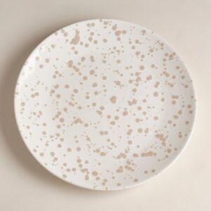 Large Speckled Ceramic Dinner Plates